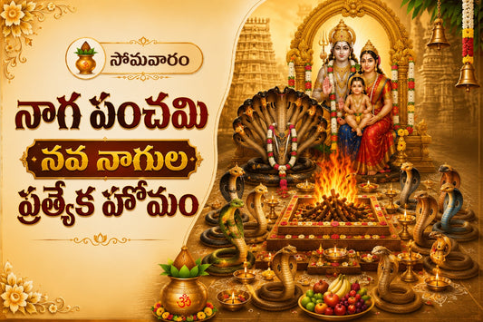 సోమవారం నాగ పంచమి నవ నాగుల ప్రత్యేక హోమం